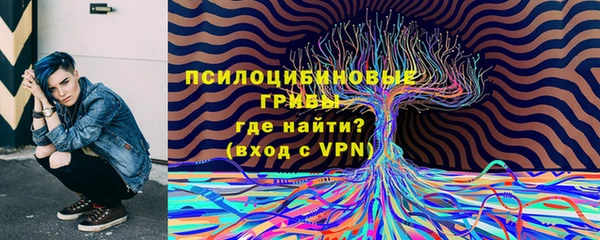 наркотики Богородицк