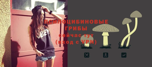 мяу мяу мука Богданович