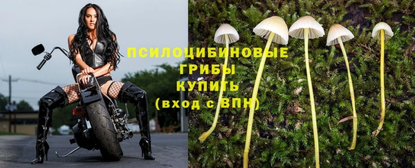 герыч Богородск