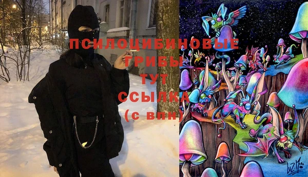 мяу мяу мука Богданович