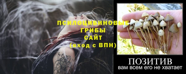 мяу мяу мука Богданович
